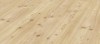 dynamic-_cod-3068-pinotea