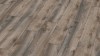 roble-macro-gris-4792