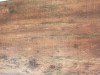 roble-nature-973