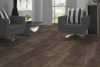 roble-peterson-dunkel-d4766.-amb