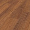 tasmanian-blackwood-_5963