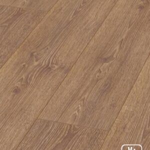 ROBLE CAPITAL MEDIUM – D2801