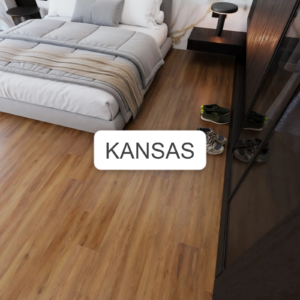 Nuevo Kansas